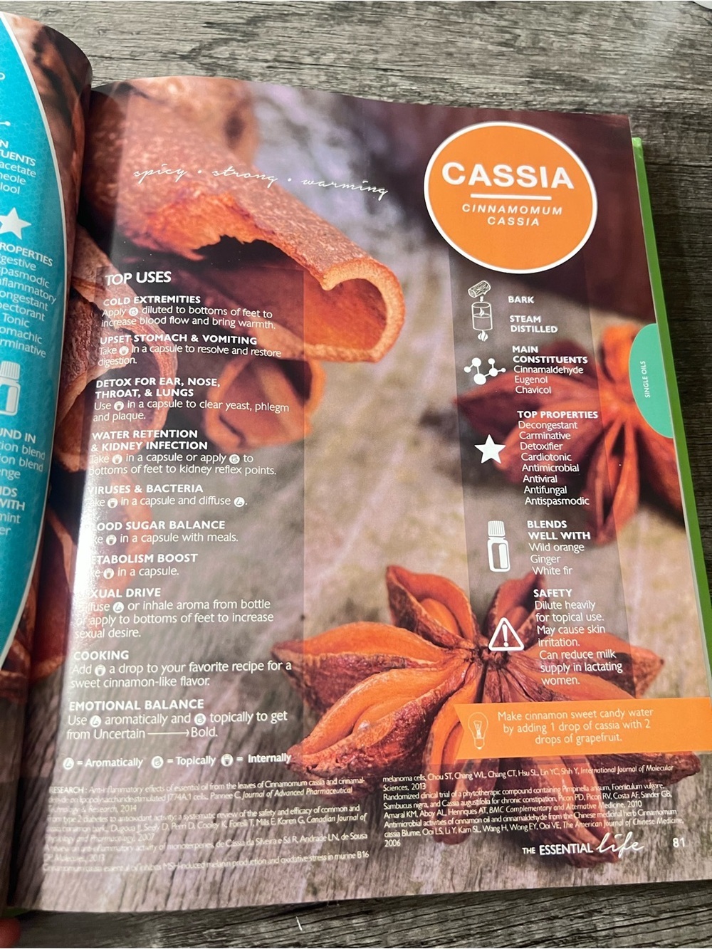 The Essential Life 3rd Edition Essential Oils Reference Guide Wellness Hardcover - Picture 7 of 9